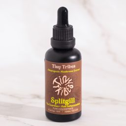 Adaptogenic Splitgill Mushroom Extract